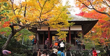 【京都旅遊】常寂光寺｜被茂密紅葉覆蓋的感動