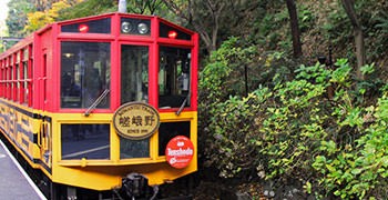 【京都旅遊】嵯峨野觀光小火車｜溪谷、紅葉、鐵道交響曲