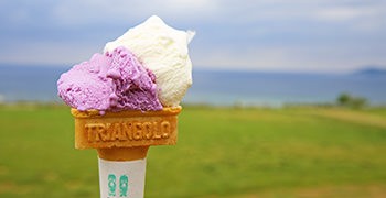 【石垣島美食】MiruMiru本舗｜吃著島冰淇淋欣賞美麗海景