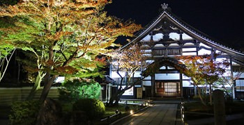 【京都旅遊】高台寺 夜楓｜充滿詩意的紅葉倒映