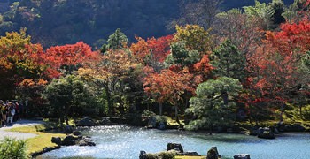 【京都旅遊】天龍寺｜嵐山第一庭園池畔賞楓名所