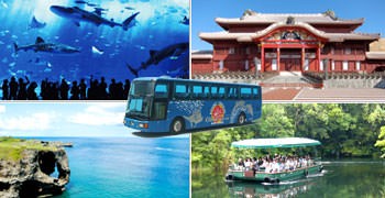 【沖繩交通】觀光巴士｜免開車也可遨遊沖繩熱門景點