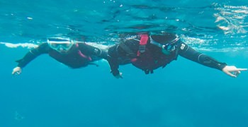 【沖繩旅遊】青洞浮潛｜不會游泳也能跟熱帶魚戲水