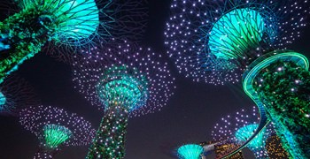 【新加坡旅遊】濱海灣花園｜霧林、花穹、超級樹、燈光秀、門票、交通攻略