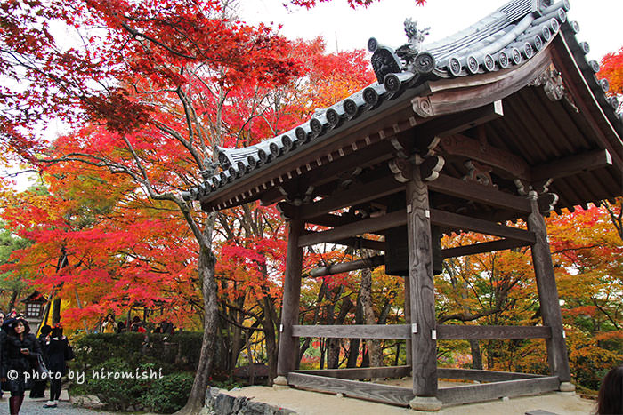 京都-嵐山-常寂光寺-楓葉-賞楓-紅葉-景點-推薦-旅行-旅遊-日本-景點