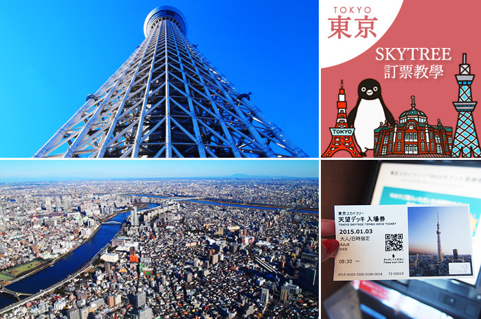 coverskytree