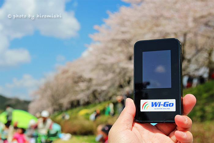 日本-上網-網路-分享器-行動-旅遊-旅行--wi-go