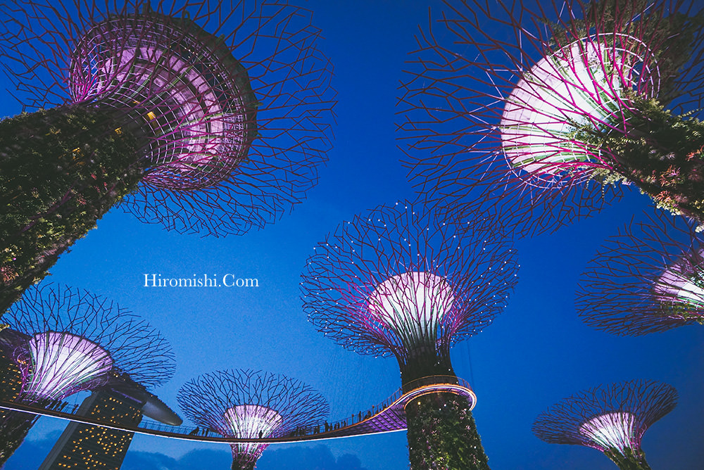 新加坡-旅遊-濱海灣-花園-花穹-霧林-超級樹-燈光秀-購票-交通-攻略-super-tree-門票-cloud-forest-flower-dome-景點-推薦-自助-自由行