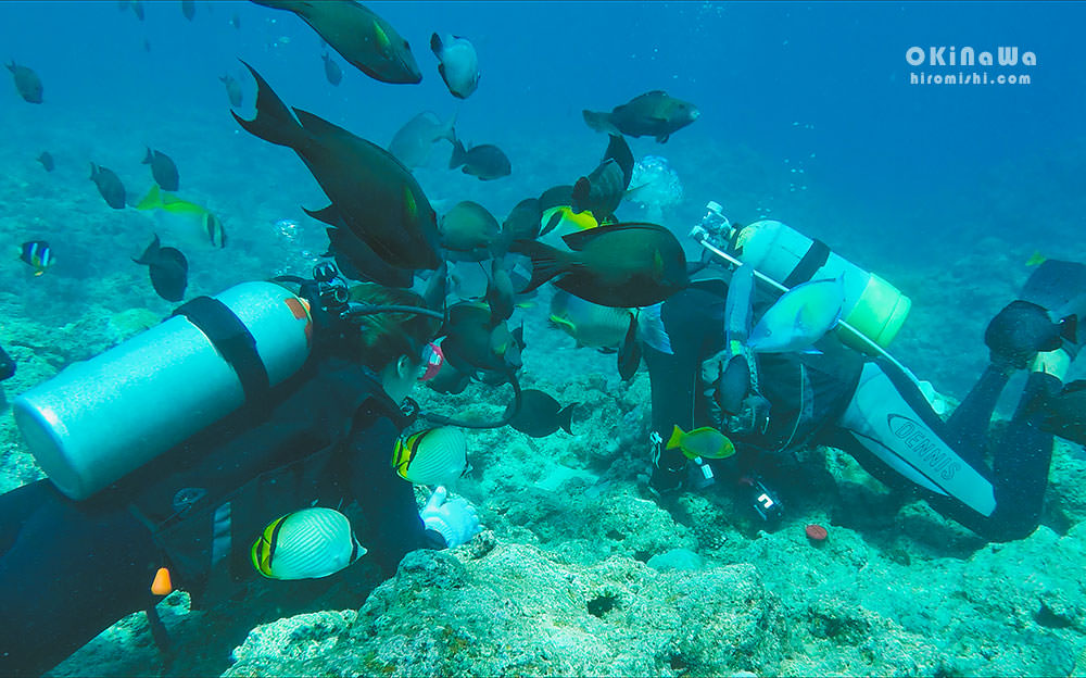 沖繩-旅遊-青洞-藍洞-潛水-浮潛-景點-自駕-自由行-自助-推薦